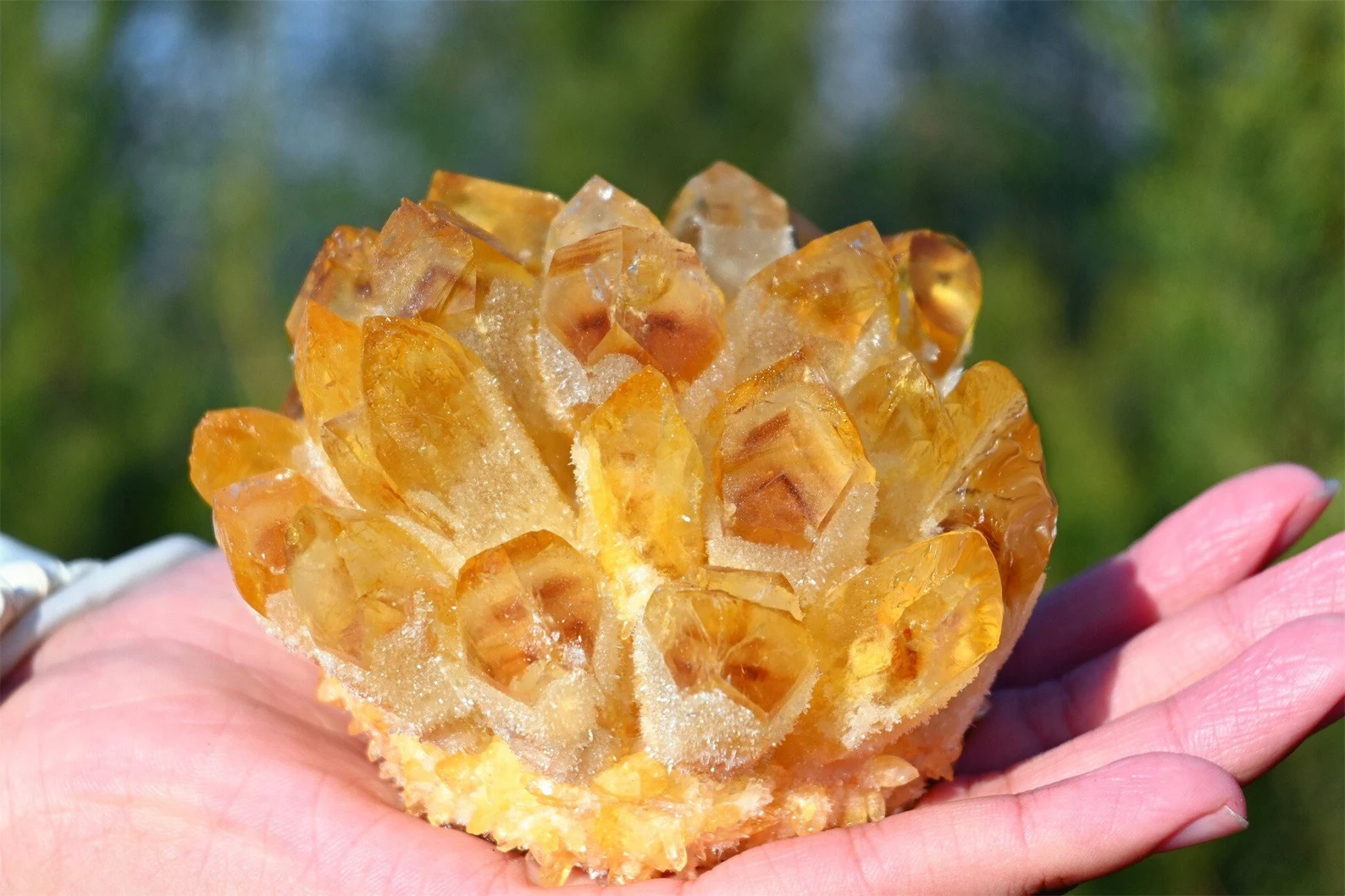 Cluster de cristale galben-miere în formă de floare, ținut în palmă