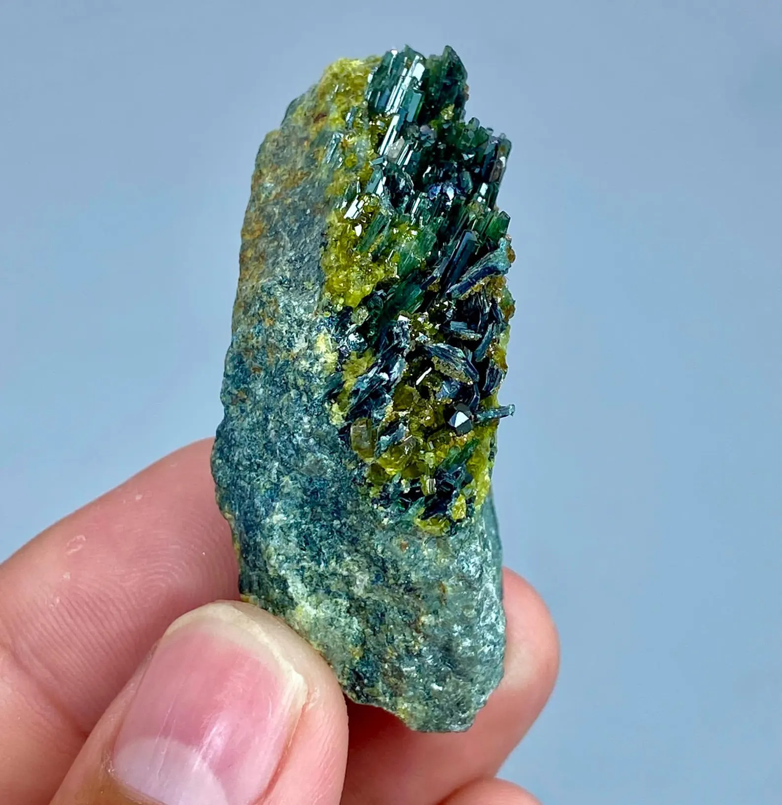 Cristale prismatice verde-închis și granule verde-gălbui pe rocă gri-verzuie
